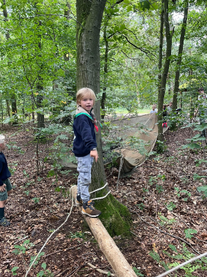 Sint-Martinus den XIIde - Opening 2024